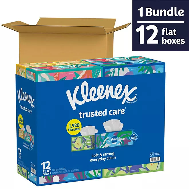 Trusted Care 2-Ply Tissues, Flat Boxes (160 Tissues/Box, 12 Boxes)