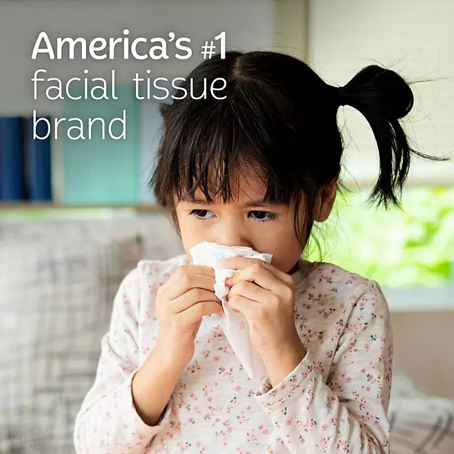 Trusted Care 2-Ply Tissues, Flat Boxes (160 Tissues/Box, 12 Boxes)