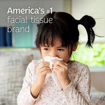 Trusted Care 2-Ply Tissues, Flat Boxes (160 Tissues/Box, 12 Boxes)