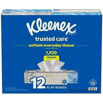 Trusted Care 2-Ply Tissues, Flat Boxes (160 Tissues/Box, 12 Boxes)